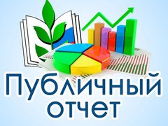 Открытый (публичный) отчет Алатырской городской организации за 2017 год