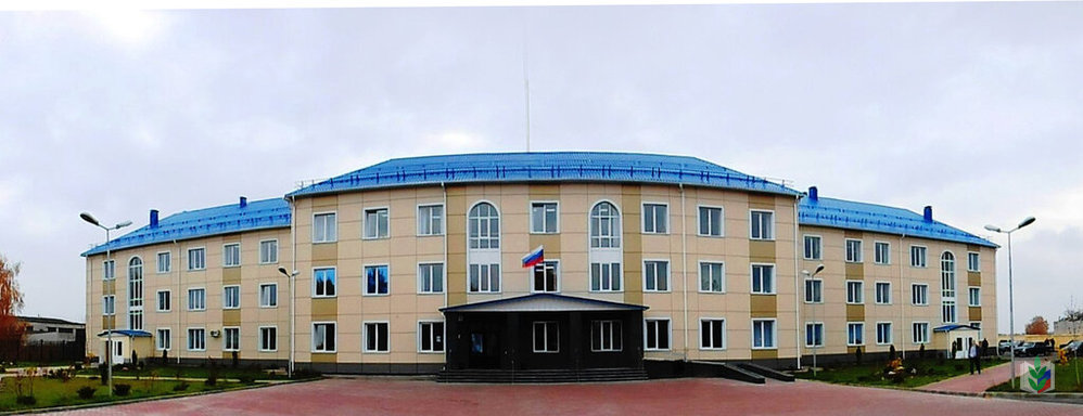 �������������