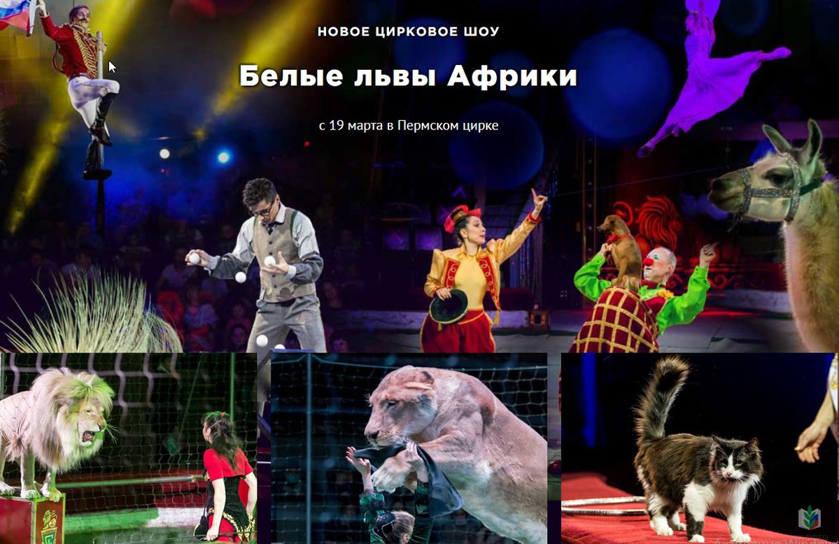 цирк цирк