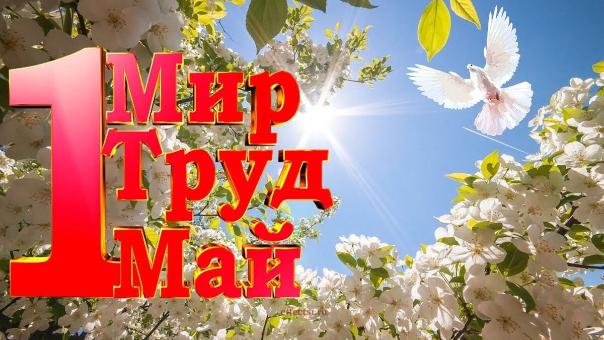 С 1 Мая С 1 Мая