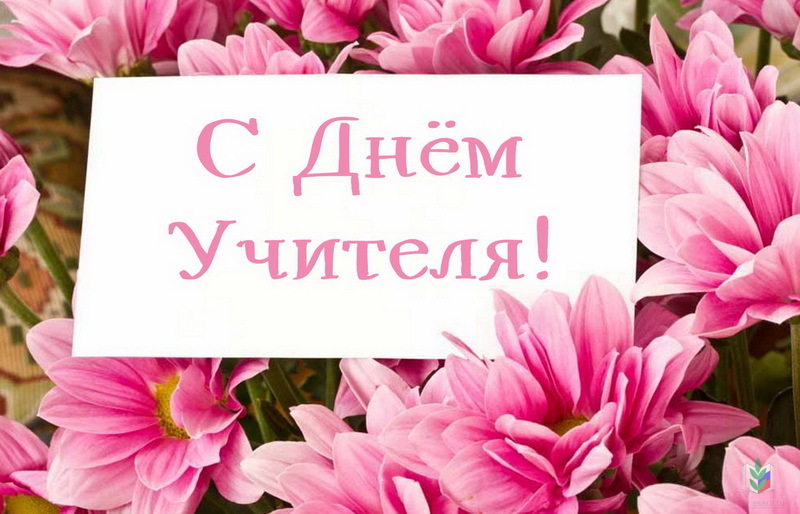 День учителя 23 День учителя 23