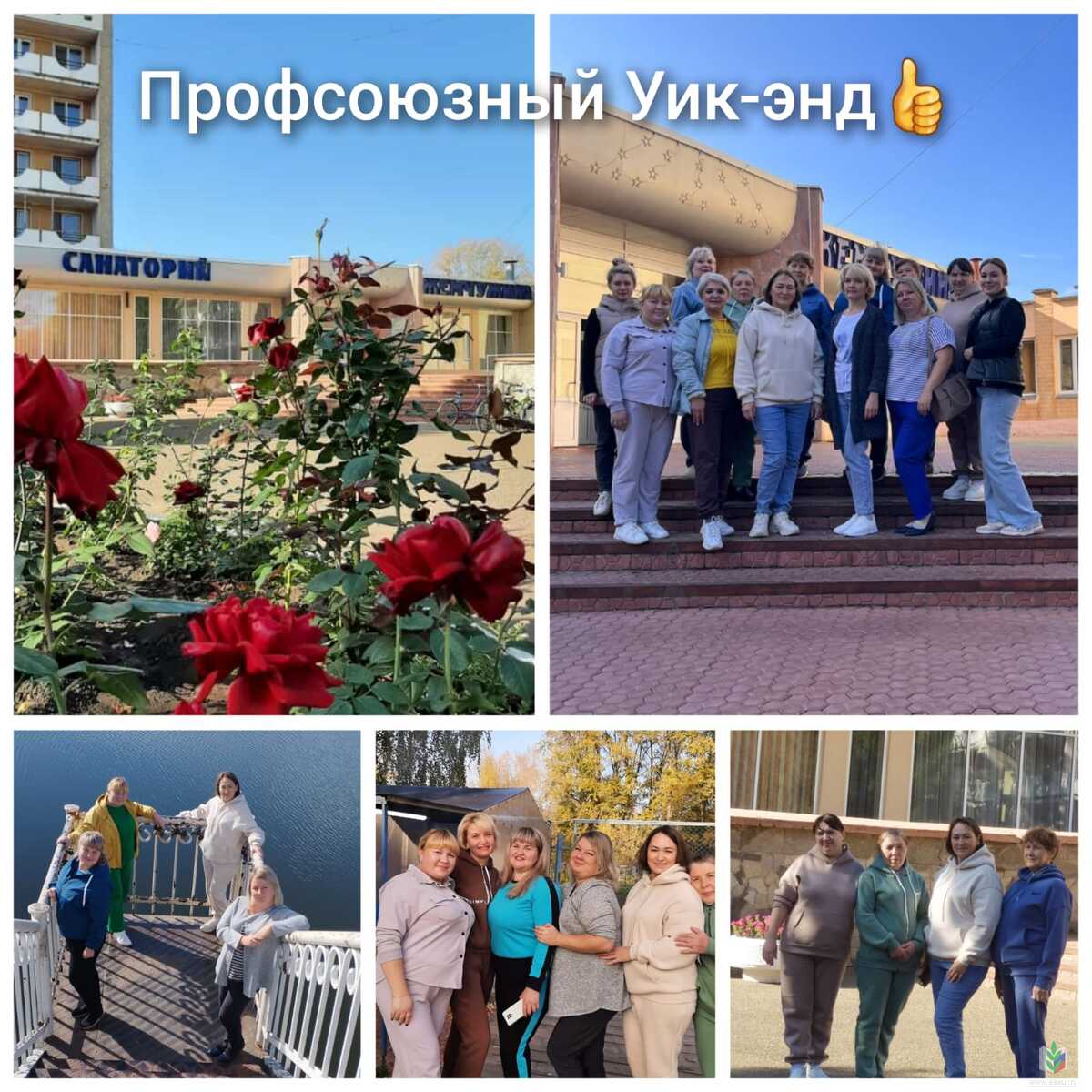 колосок колосок
