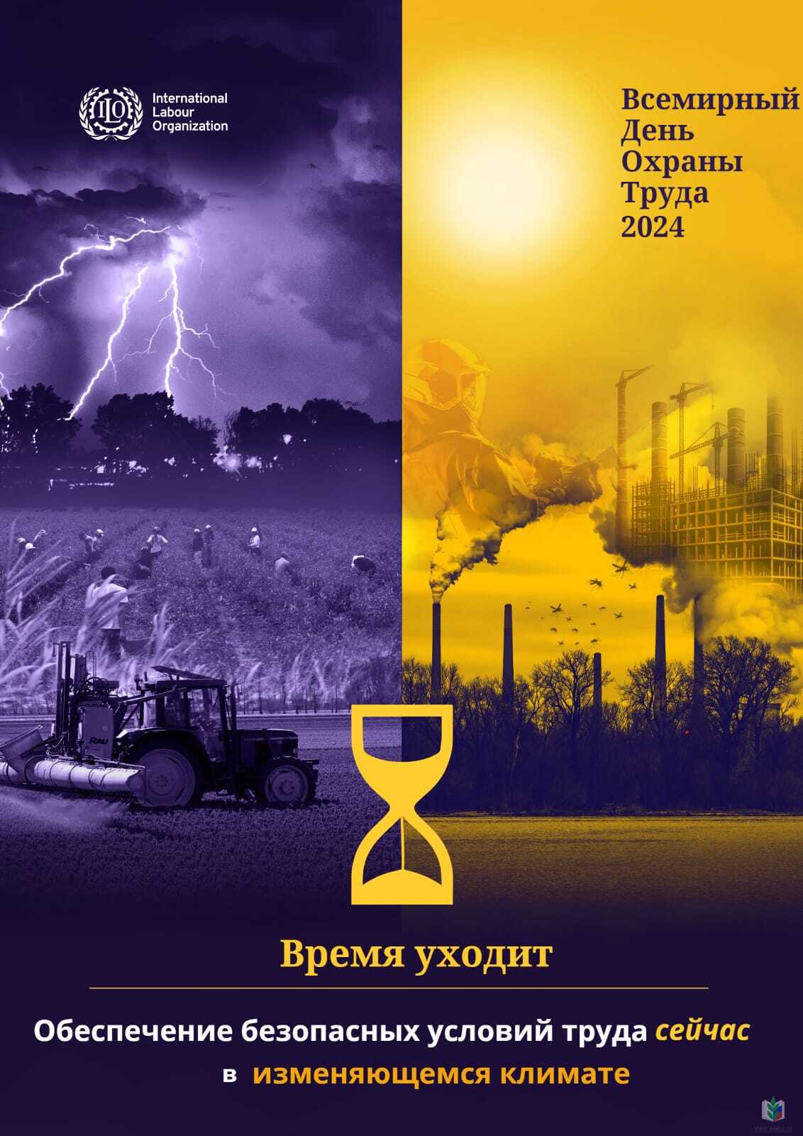 28 ������ 2024 ����