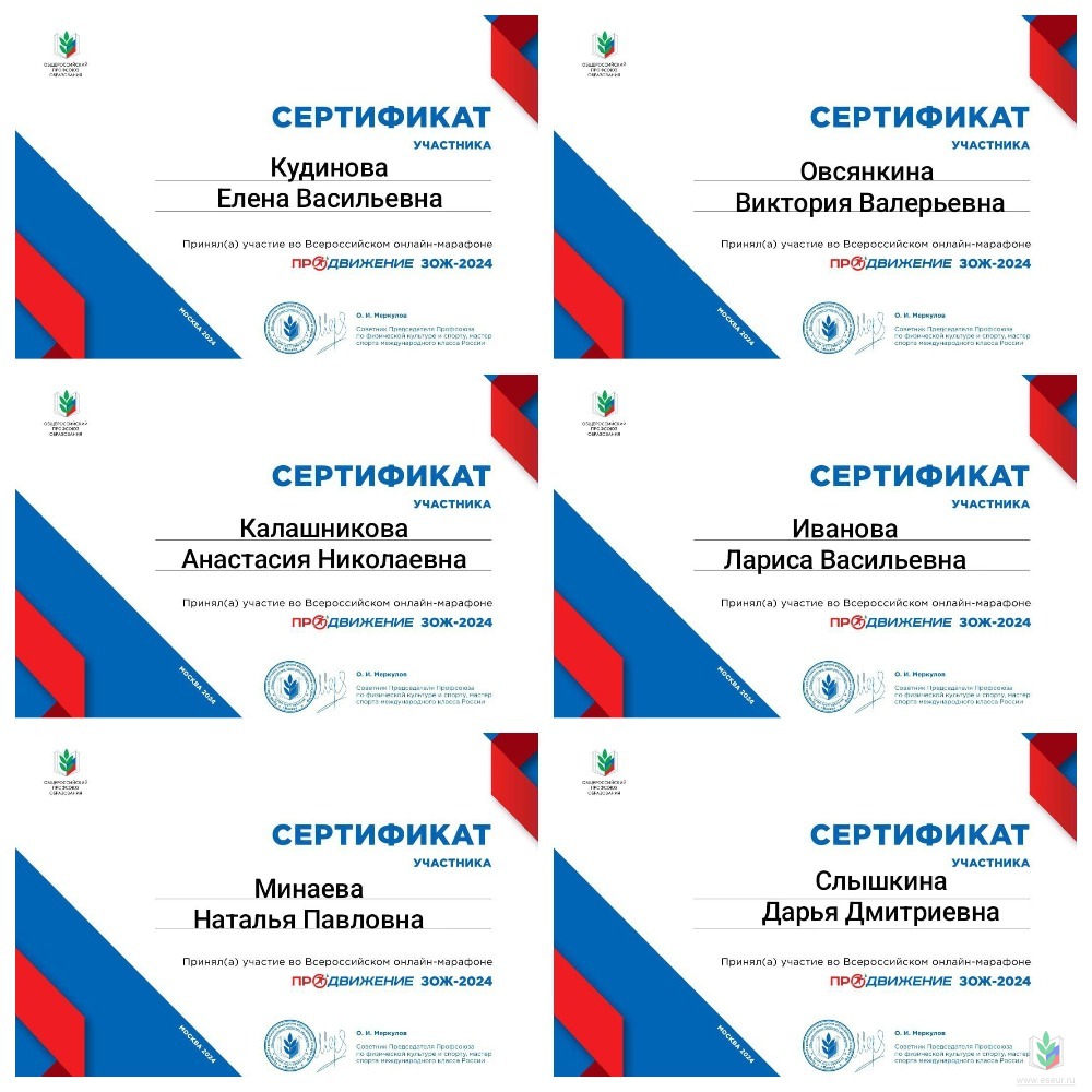 Участники ЗОЖ 24 Участники ЗОЖ 24