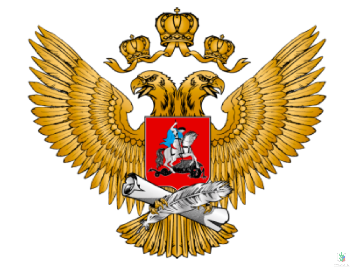 ������������ ����������� ������