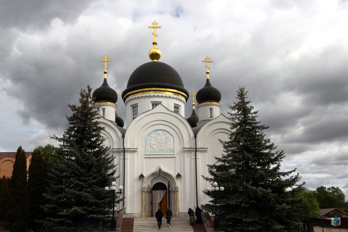 задонск8 задонск8