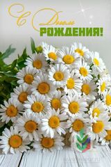 днюх дек днюх дек