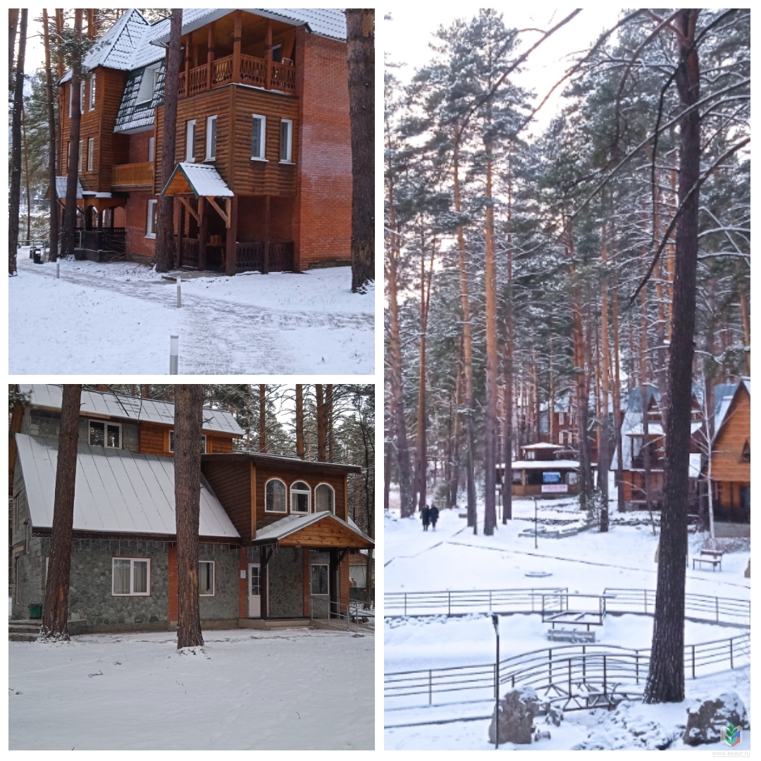 PhotoCollage_1764745289005 PhotoCollage_1764745289005