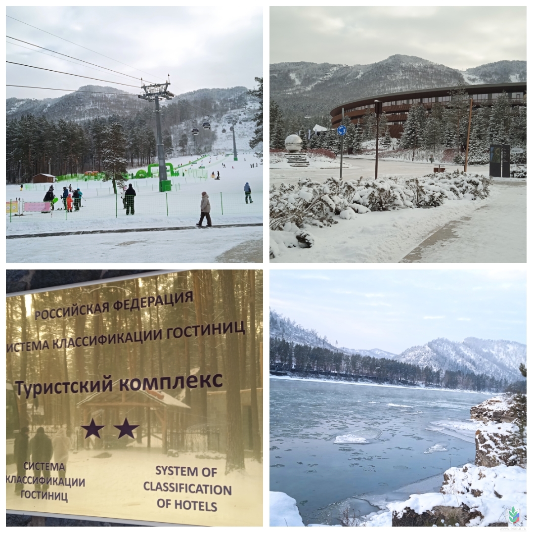 PhotoCollage_1764745328491 PhotoCollage_1764745328491