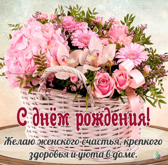 янв 26 янв 26