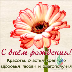 дню дню