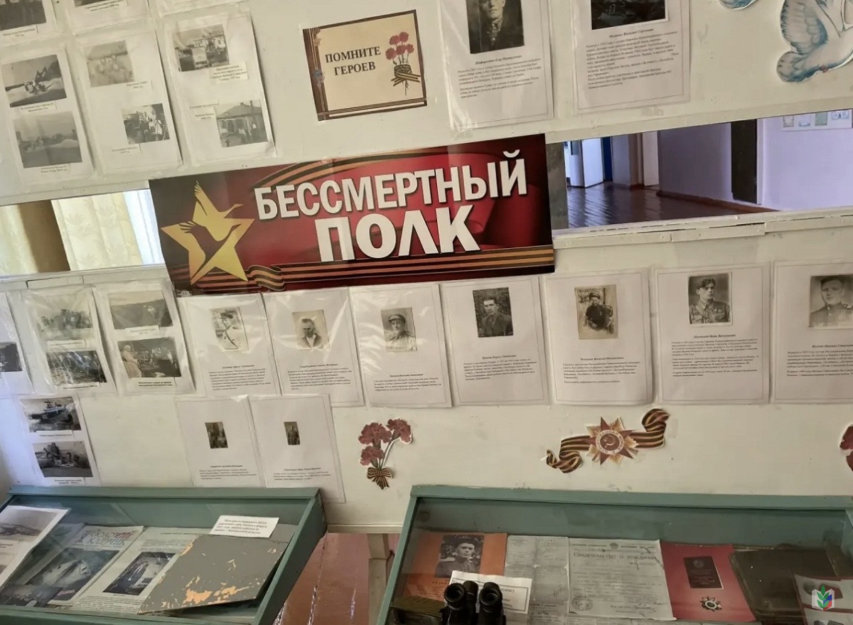 6 6