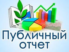 Публичный отчет за 2016 год.