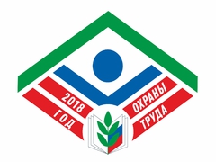 О проведении в областной организации Профсоюза в 2018 году «Года охраны труда в Профсоюзе»