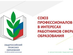СОЮЗ ПРОФЕССИОНАЛОВ. Презентация к августовским конференциям и педсоветам-2019